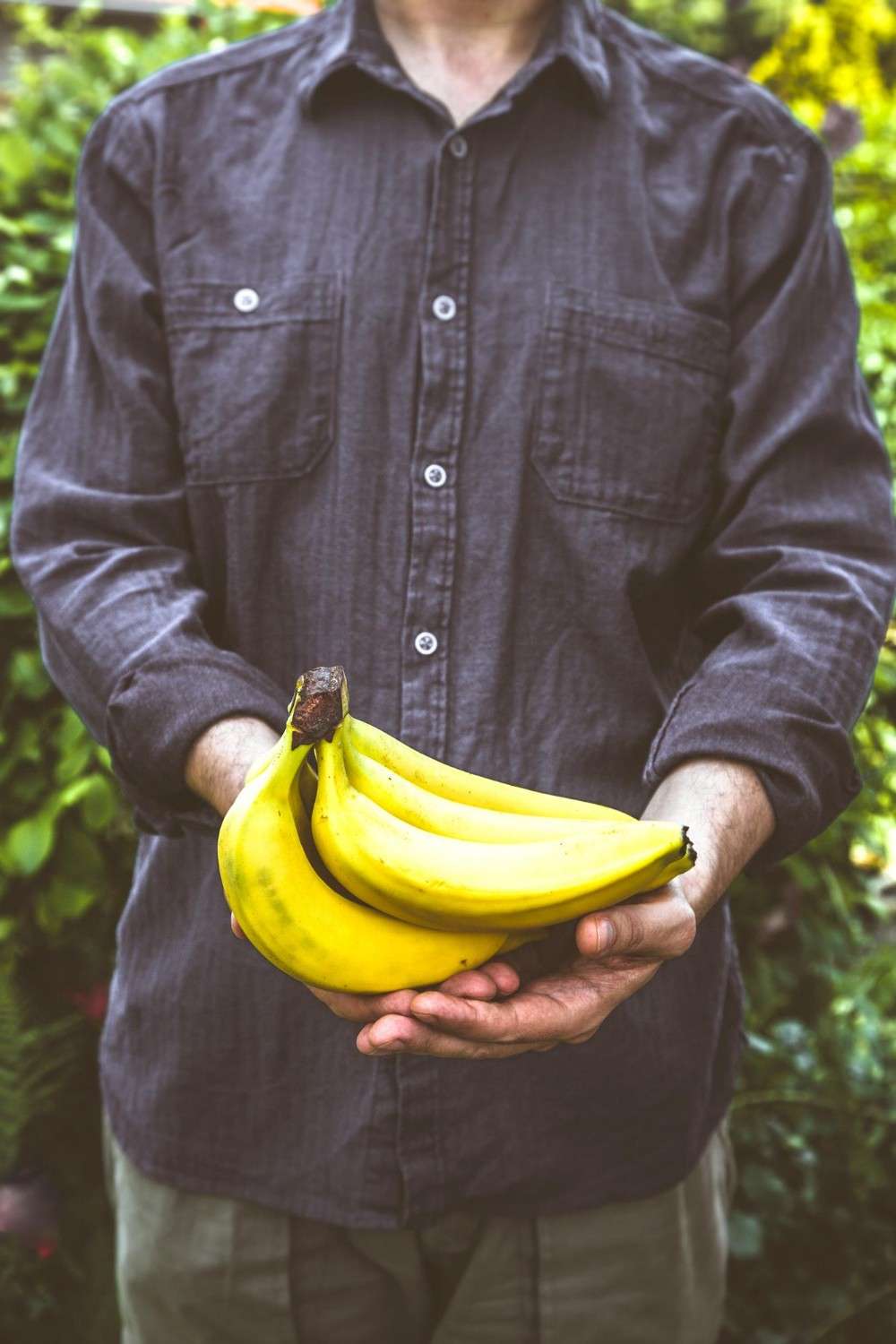 Fresh-Cavendish-Bananas-Wholesale